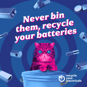 "Never bin them, recycle your batteries". Image depicts "hypno cat" (a pink and purple cat with hypnotic eyes) perched upon a bin, with various types of batteries floating in the background.