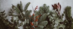 Natural green foliage with berries, displayed to look festive.