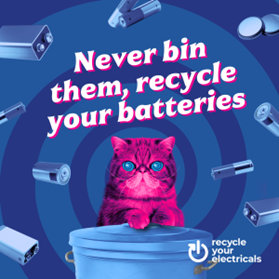 Image of pink cat with the text Never bin them, recycle your batteries.