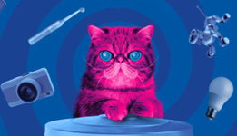 picture of a pink cat and image of electrical items